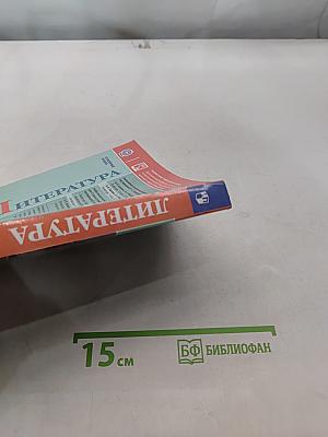 Литература. 11 класс. Часть 2. Учебник для общеобразовательных организаций. Углубленный уровень