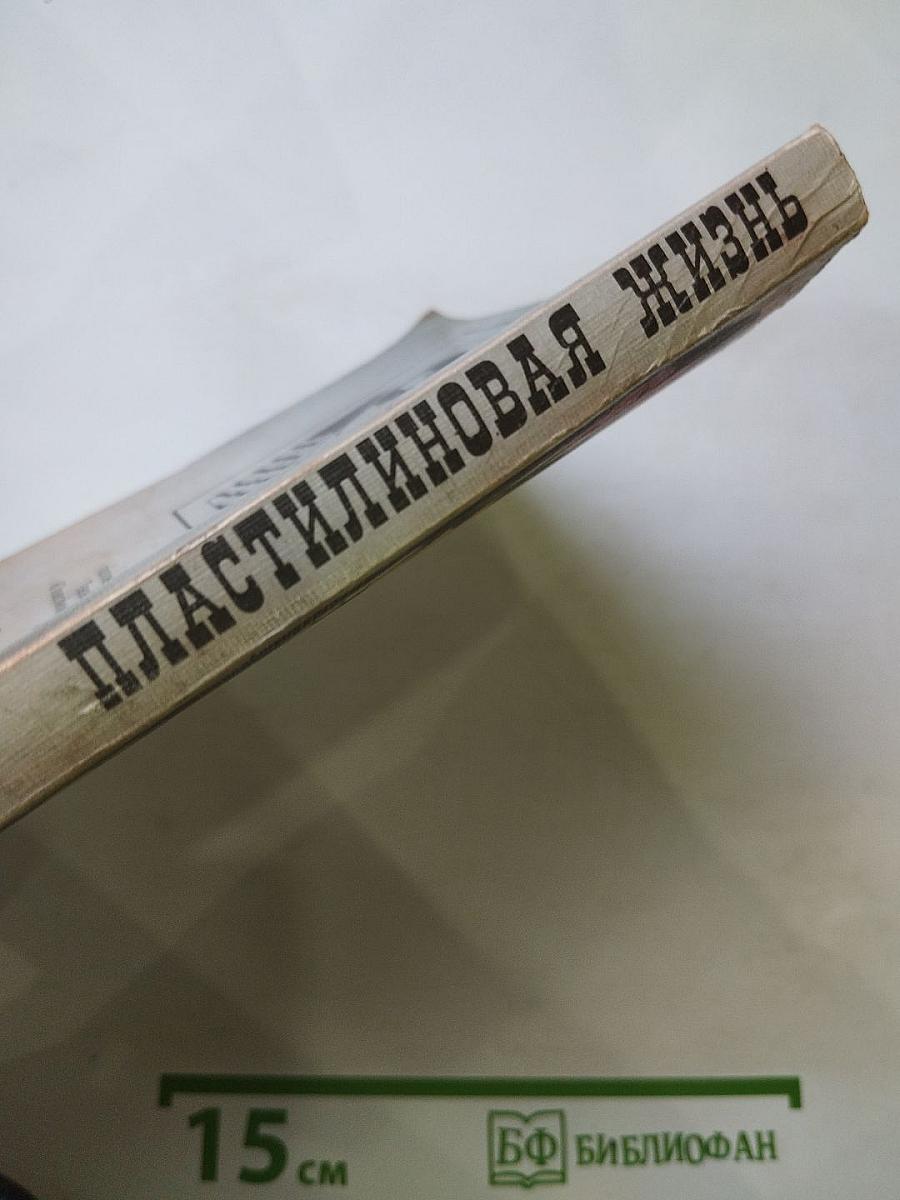 Пластилиновая жизнь