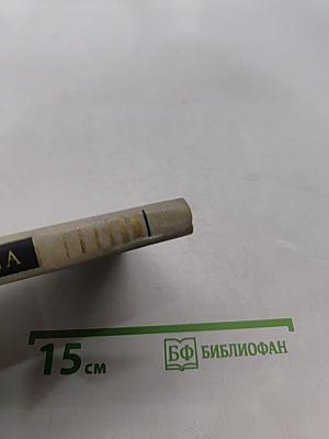 Утренний поезд надежды