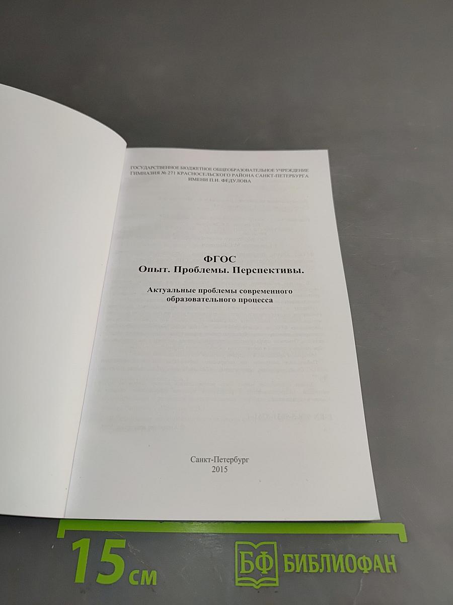 Опыт. Проблемы. Перспективы. Актуальные проблемы современного образовательного процесса