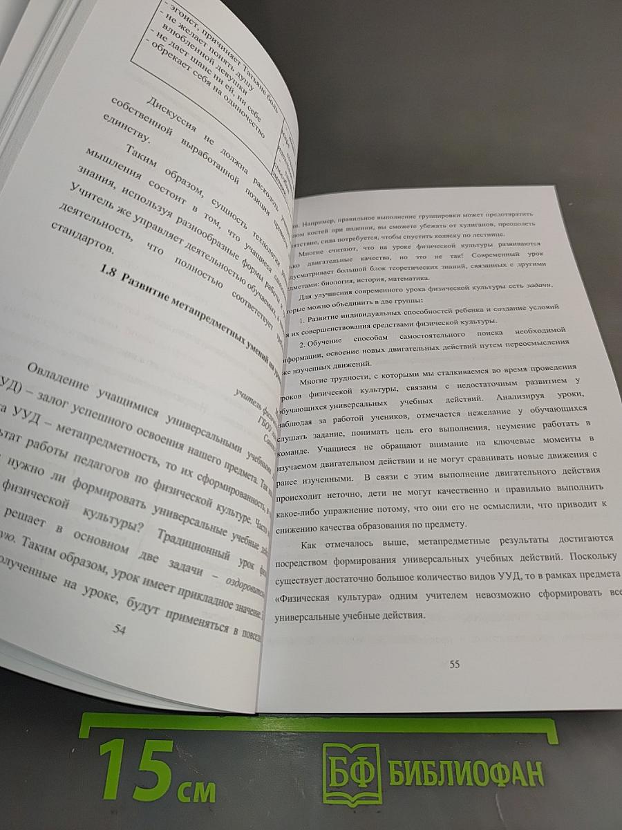 Опыт. Проблемы. Перспективы. Актуальные проблемы современного образовательного процесса