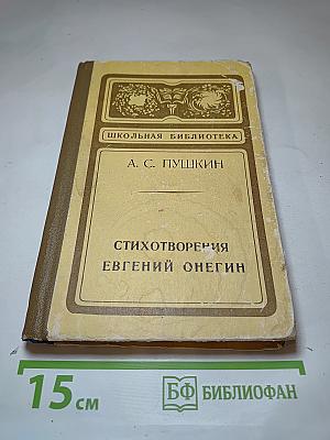 Стихотворения Евгений Онегин