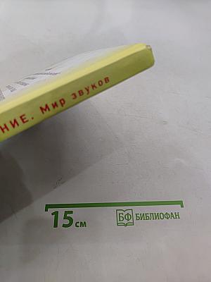 Произношение. Мир звуков. Учебник для 2 класса специальных (коррекционных) школ V вида