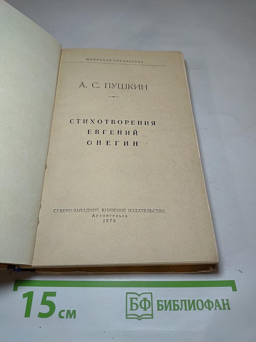 Стихотворения Евгений Онегин