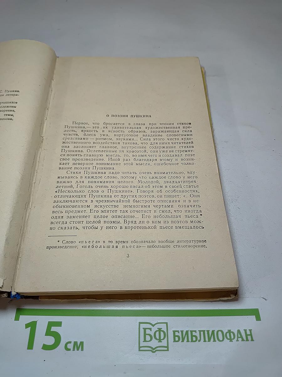 Стихотворения Евгений Онегин