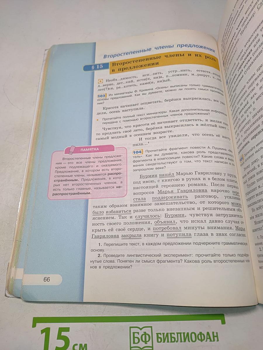 Русский язык. 8 класс