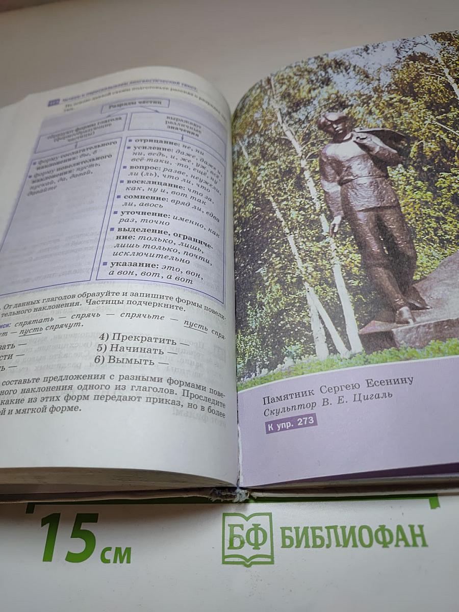 Русский язык 7 класс