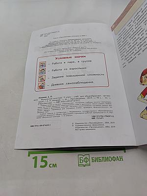 Физическая культура 3 класс
