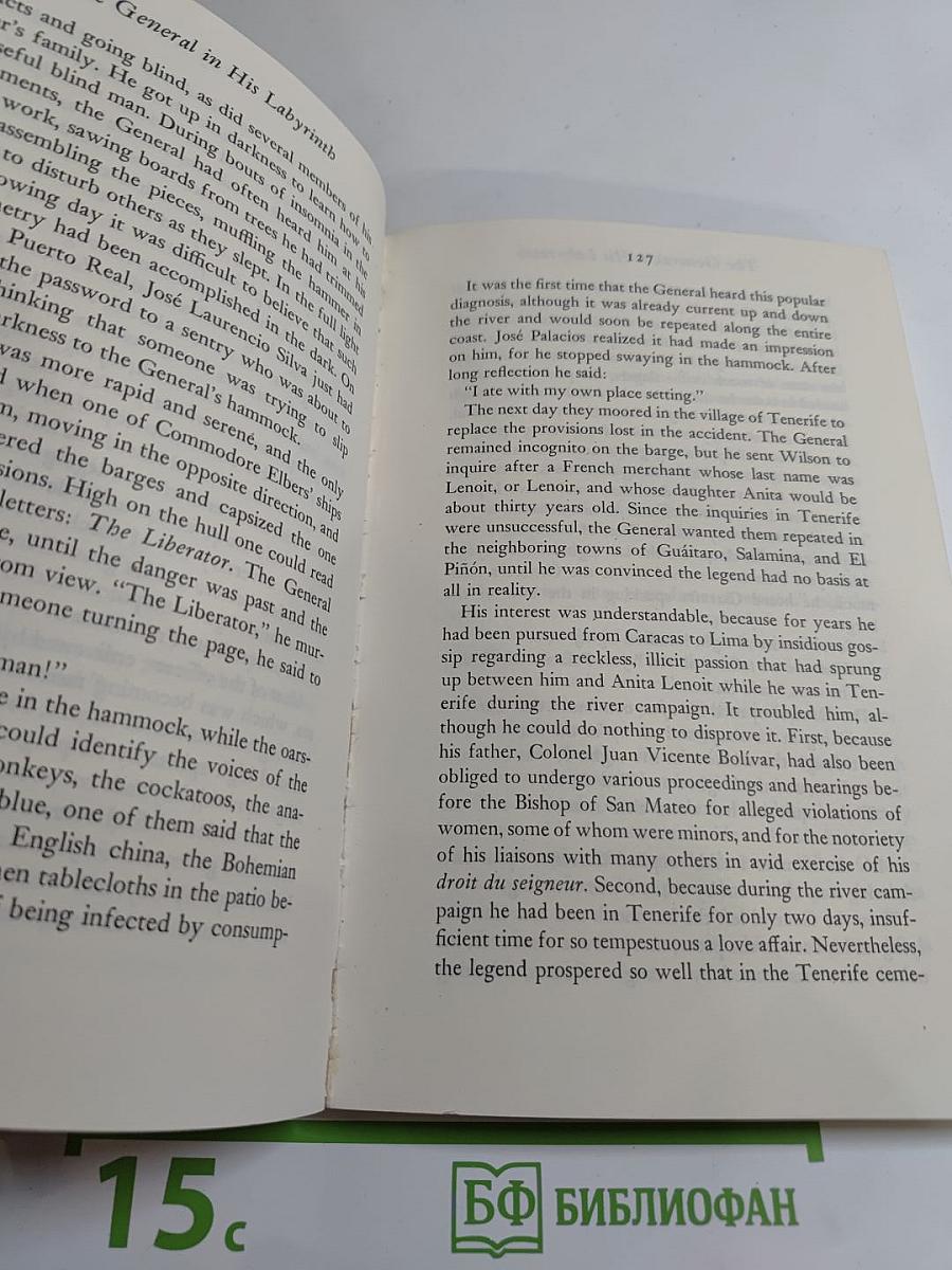 The General in His Labyrinth