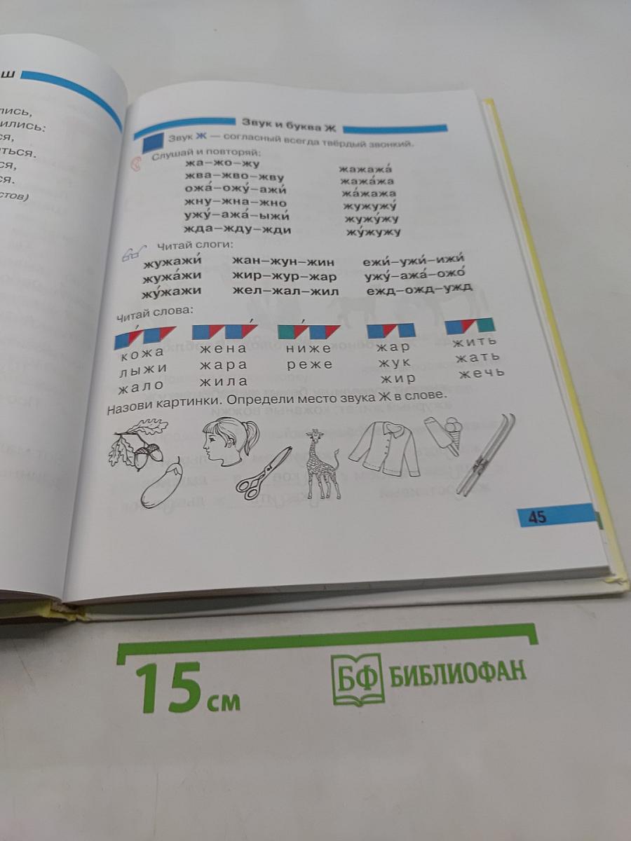 Произношение. Мир звуков. Учебник для специальных (коррекционных) школ V вида. 2 класс