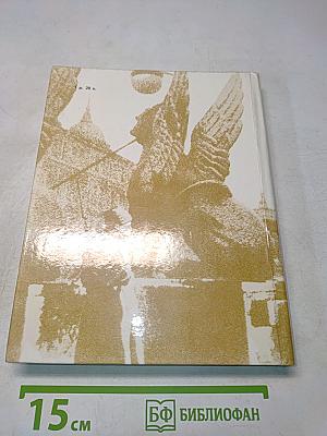 Чекисты Петрограда на страже революции. Книга 2
