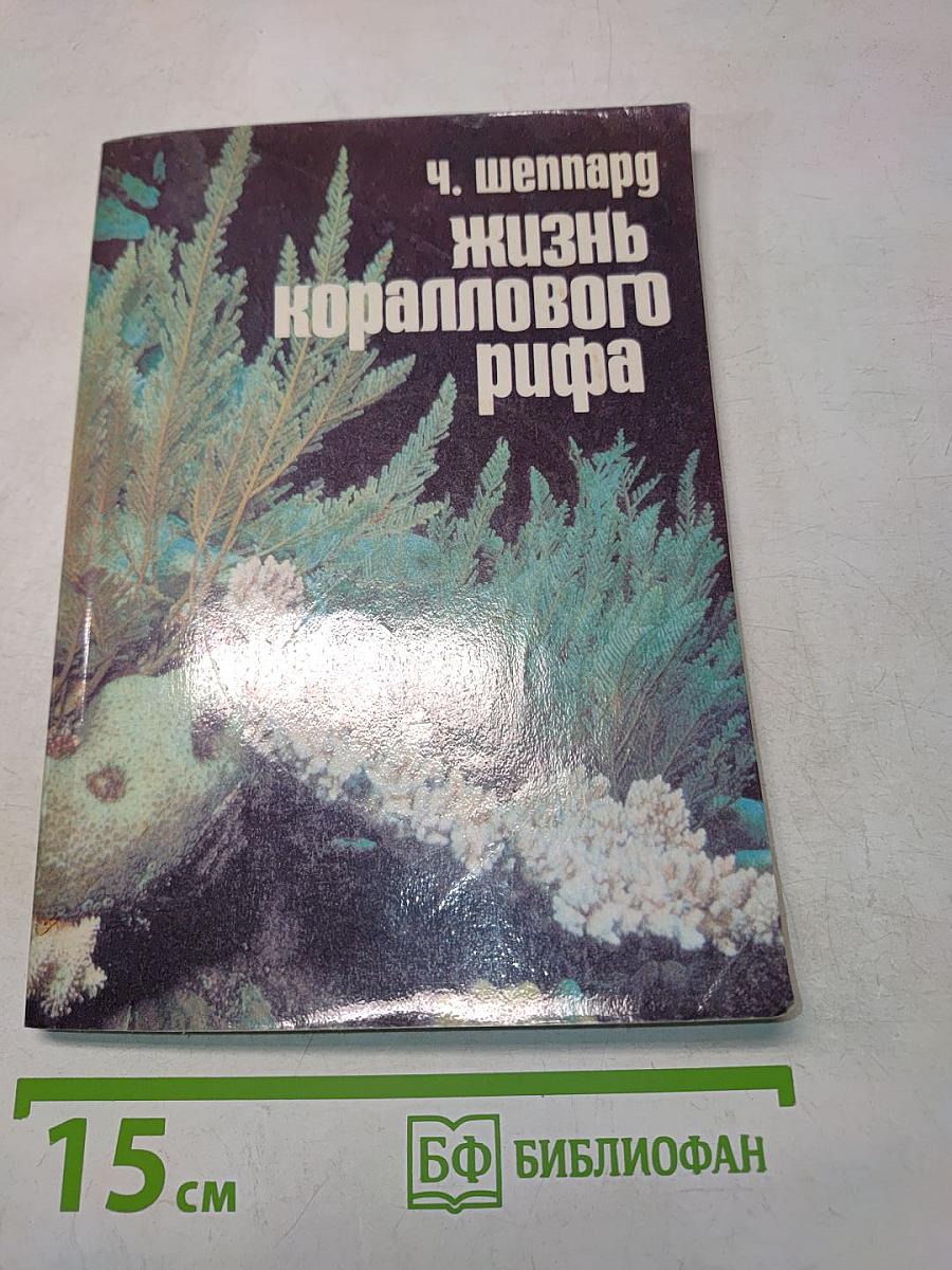 Жизнь кораллового рифа