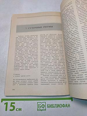 Жизнь кораллового рифа