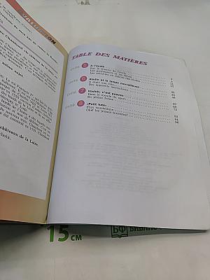 Французский язык. 5 класс. Учебник. Часть 2