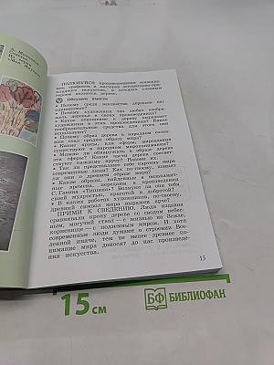 Изобразительное искусство. 4 класс