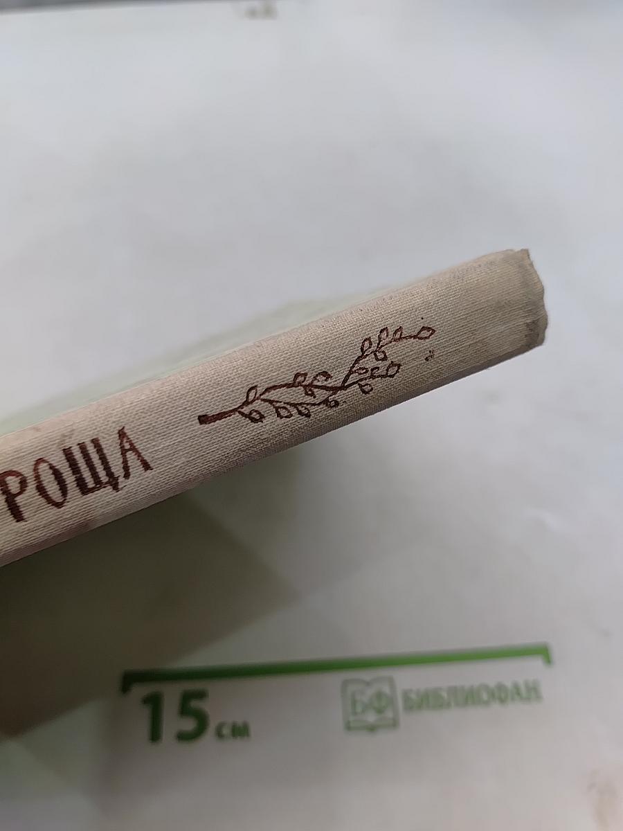 Зеленая роща