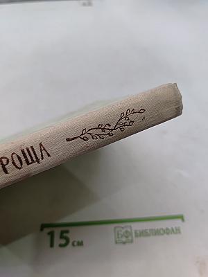 Зеленая роща