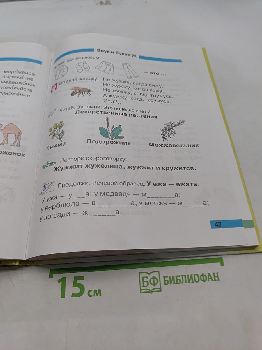Произношение. Мир звуков. Учебник для специальных (коррекционных) школ V вида. 2 класс