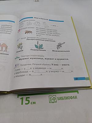 Произношение. Мир звуков. Учебник для специальных (коррекционных) школ V вида. 2 класс