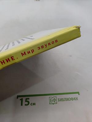 Произношение. Мир звуков. Учебник для специальных (коррекционных) школ V вида. 2 класс