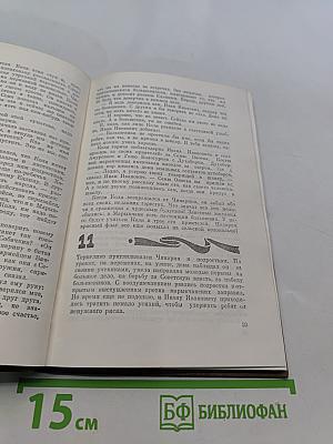 Молодость Марычана