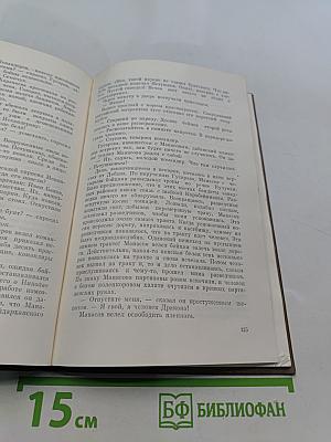 Молодость Марычана