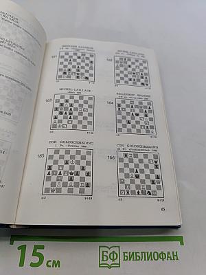 FIDE Album 1980-1982