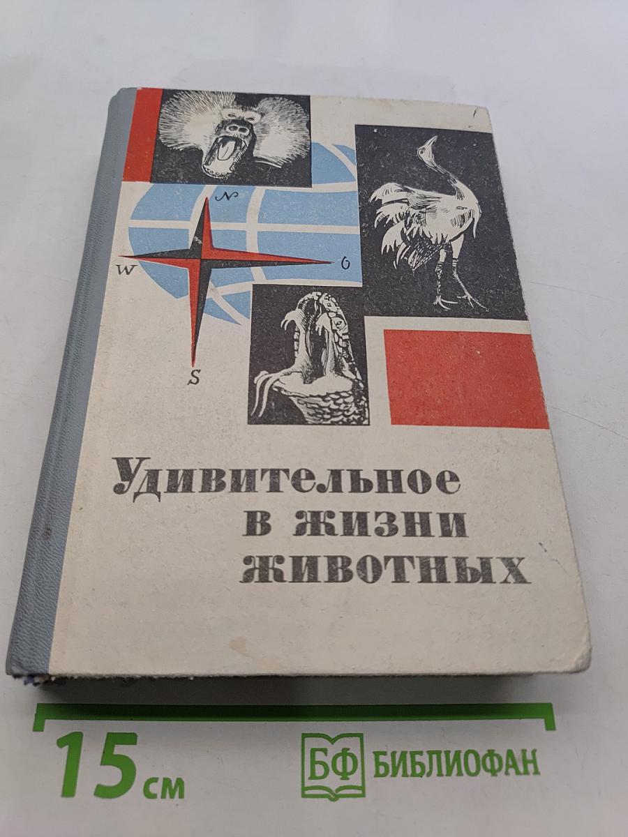 Удивительное в жизни животных