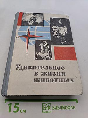 Удивительное в жизни животных