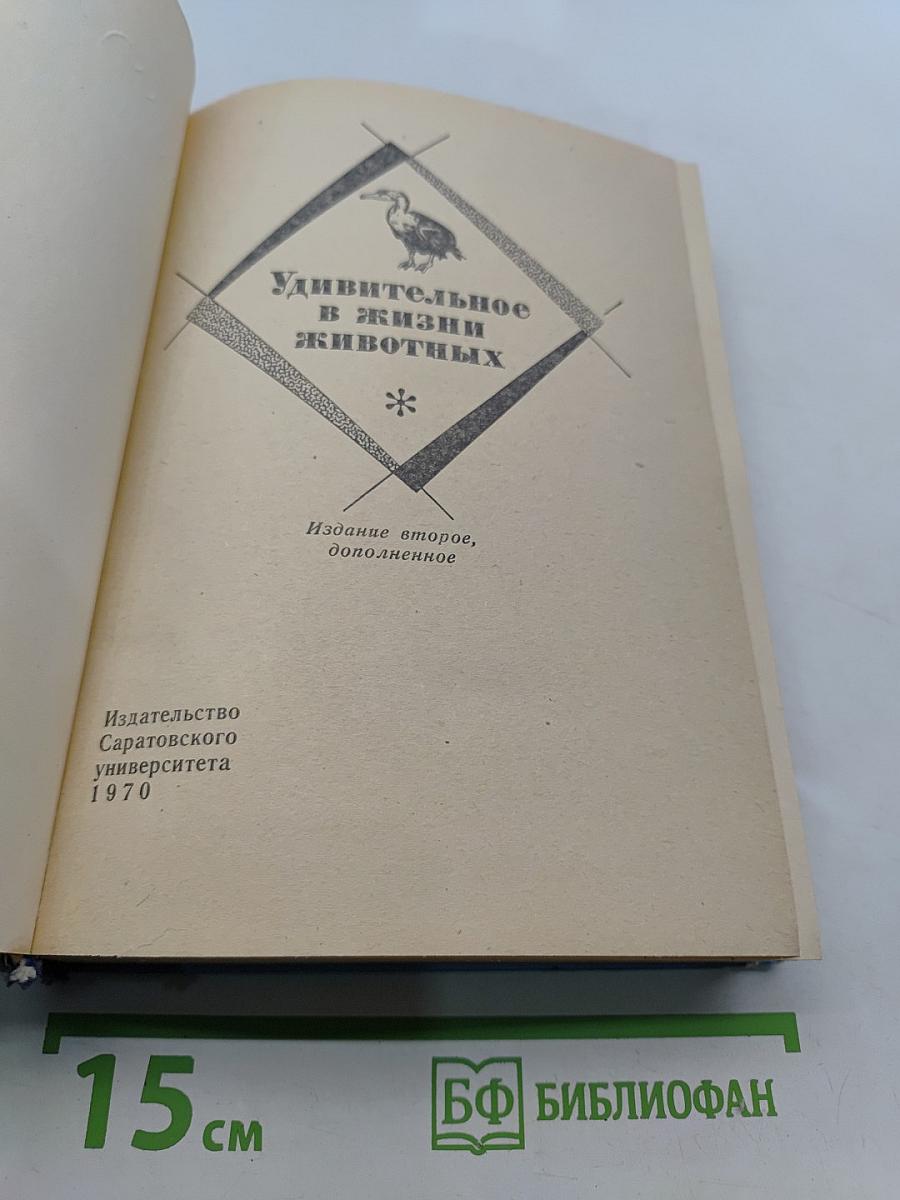 Удивительное в жизни животных
