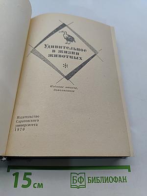 Удивительное в жизни животных