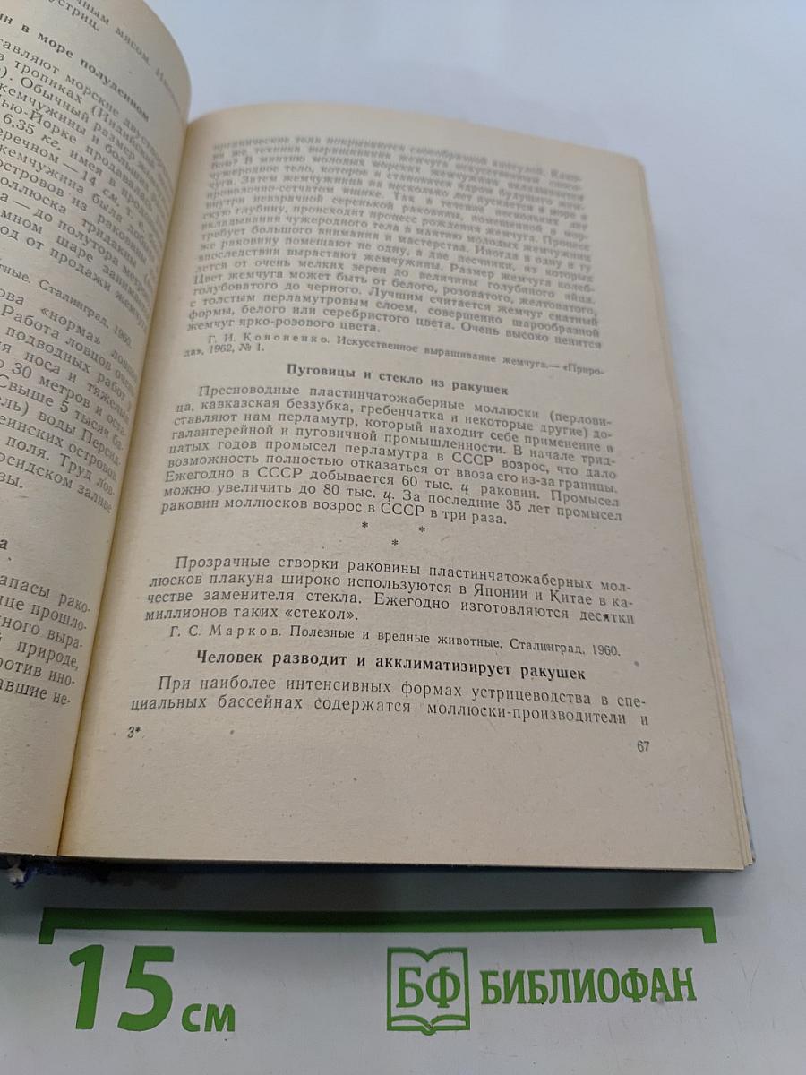Удивительное в жизни животных