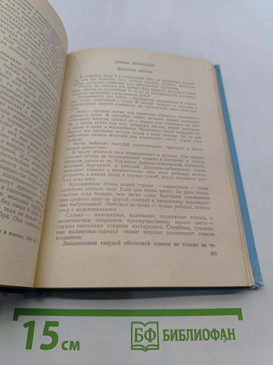 Удивительное в жизни животных
