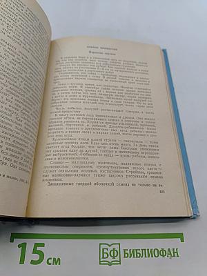 Удивительное в жизни животных