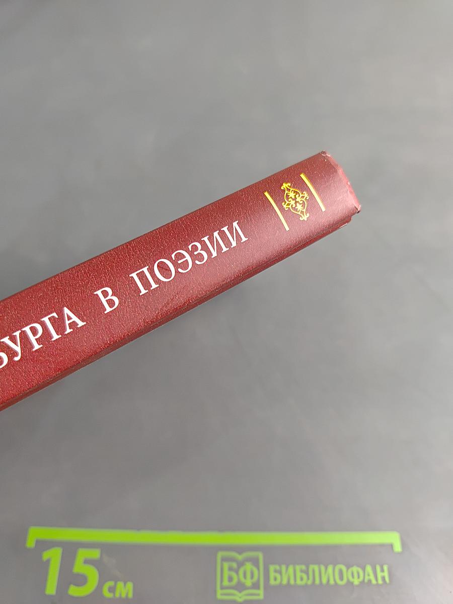 Образ Петербурга в поэзии