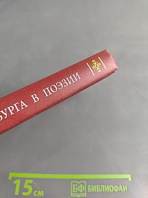 Образ Петербурга в поэзии