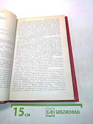 Эпилепсия у взрослых