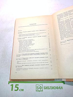 Инсульт и варианты артерий мозга