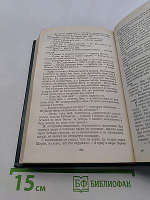 Сент-Ив. Черная стрела