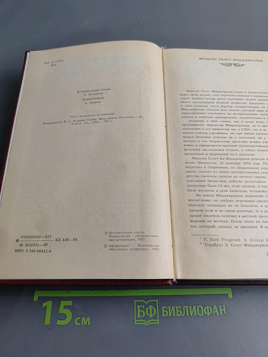 Великий Гэтсби. Ночь нежна. Рассказы