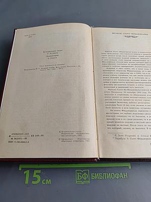 Великий Гэтсби. Ночь нежна. Рассказы