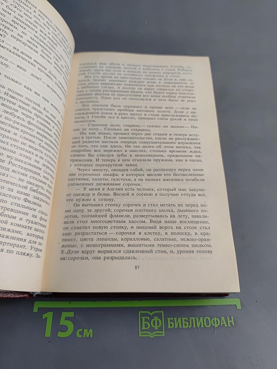 Великий Гэтсби. Ночь нежна. Рассказы