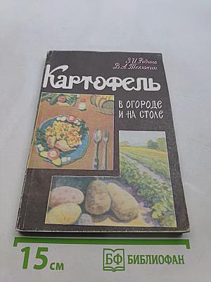 Картофель в огороде и на столе