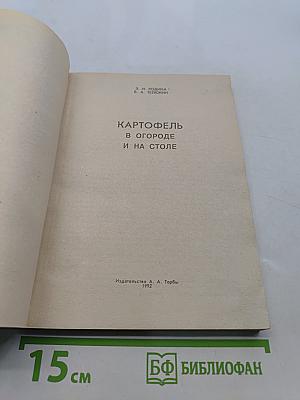 Картофель в огороде и на столе