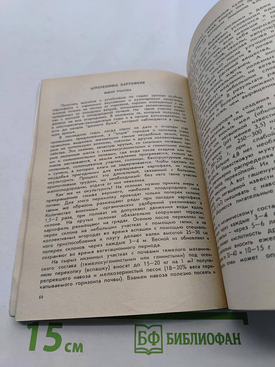 Картофель в огороде и на столе