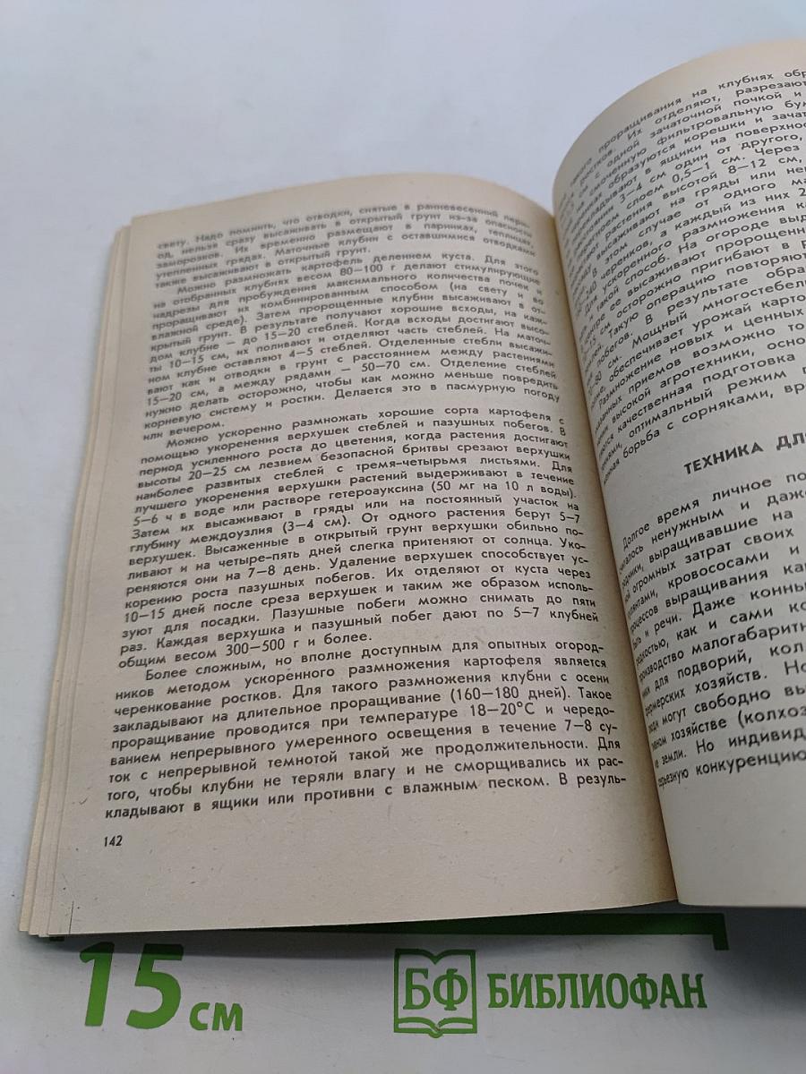 Картофель в огороде и на столе