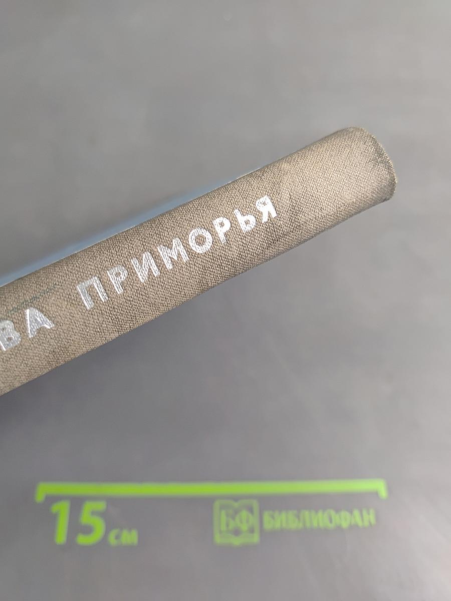Металлогения олова Приморья