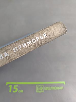Металлогения олова Приморья