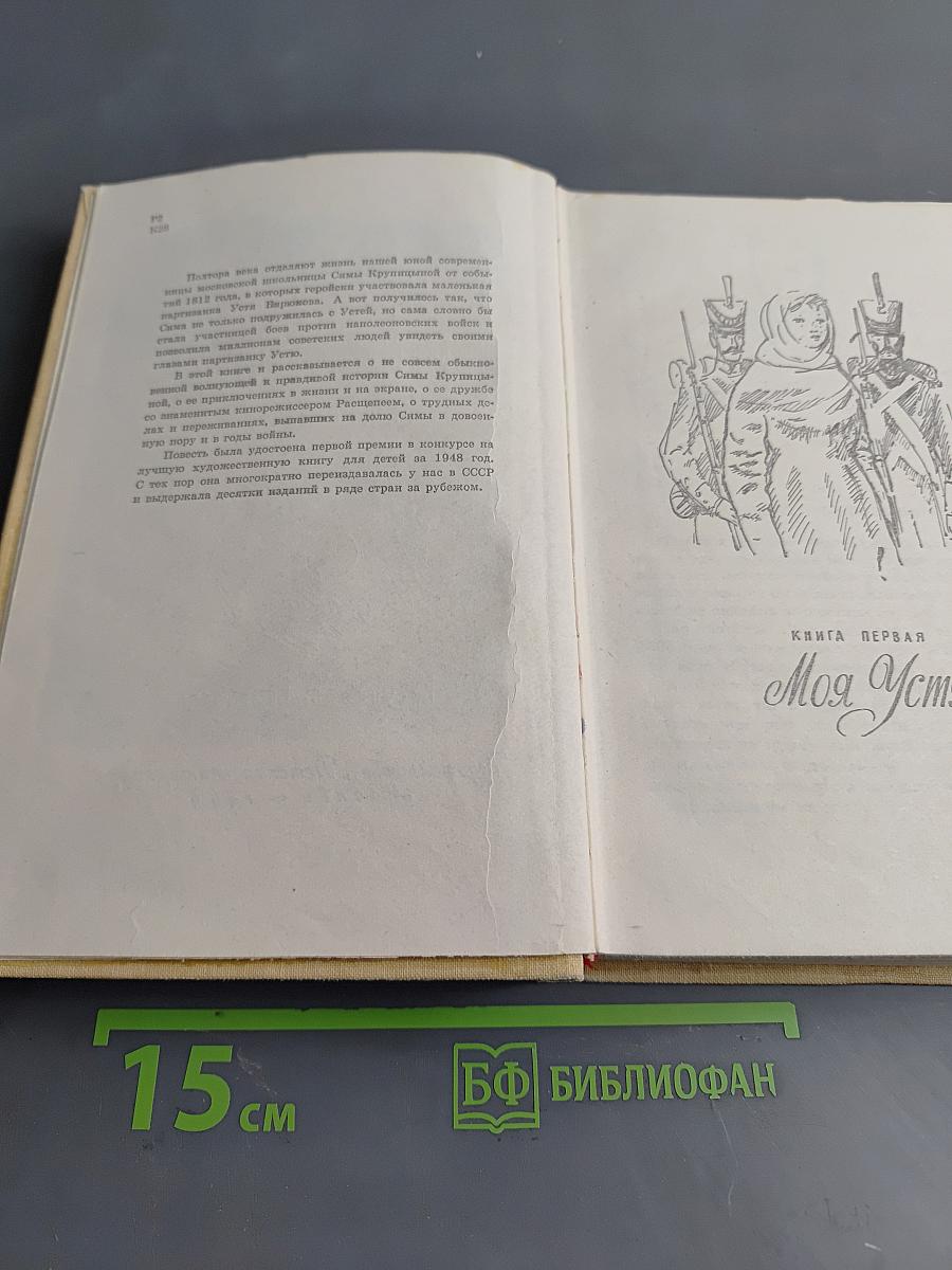 Великое противостояние