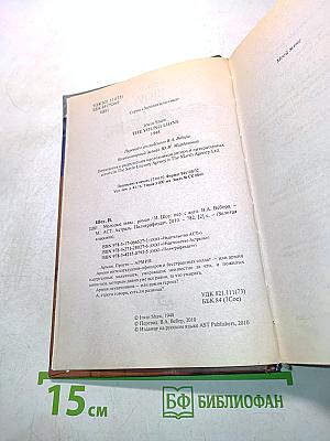 Молодые львы